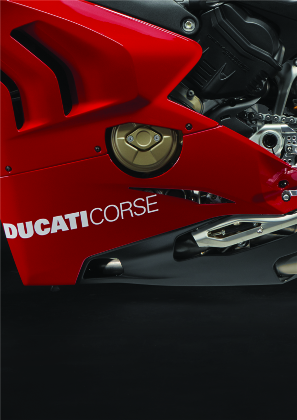 Ducati Lower fairings.