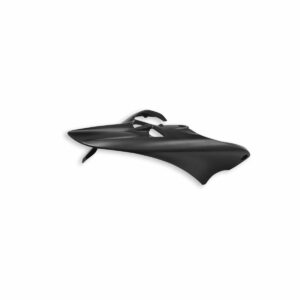 Ducati- Carbon rear mudguard.