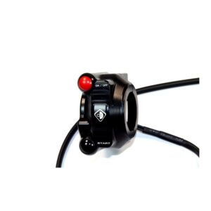 CPPI09 - GAS CONTROL PANEL WITH INTEGRATED PUSH-BUTTON