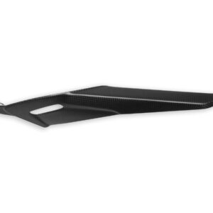CRB122O - MTS V4 PIKES PEAK MATT CARBON CHAIN GUARD