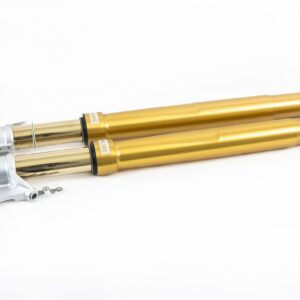 Ohlins Ducati 899 959 V2 V4 Panigale R&T 43 Complete Front Fork Set
