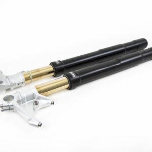 Ohlins Ducati 899 959 V2 V4 Panigale R&T 43 Complete Front Fork Set