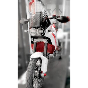 GR14 - DESERTX H20 RADIATOR GUARD