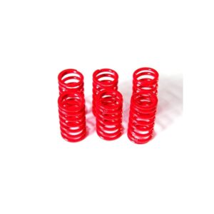 6M01 - KIT CLUTCH SPRINGS