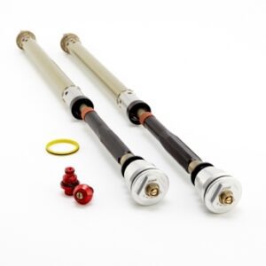 Front Fork Cartridges RDS Ducati Panigale 899/959/V2/V4 Showa BPF
