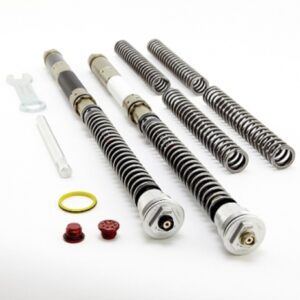 Front Fork Cartridges DDS Ducati Panigale V4 Showa BPF