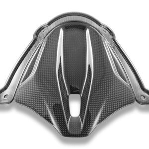 CRB214L - PANIGALE V4 25 GLOSSY CARBON INSTRUMENT COVER